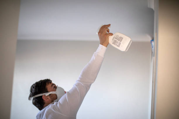 Best Kitchen Mold Remediation in Bernardsville, NJ
