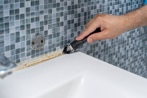 Professional Mold Remediation in Bernardsville, NJ